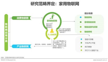 2020年中國家用物聯網行業研究報告 物聯網技術服務